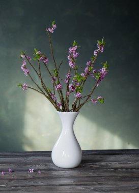 Vazodaki Daphne çiçekleri arka plandaki eski ahşap masada yeşil duvarda.