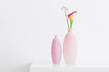 Beyaz arkaplanda vazoda pembe zambak