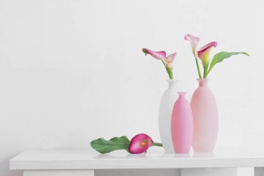 Beyaz arkaplanda vazolar içinde güzel pembe çiçekler