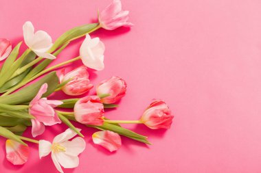 Pembe kağıt arka planda güzel pembe ve beyaz laleler 