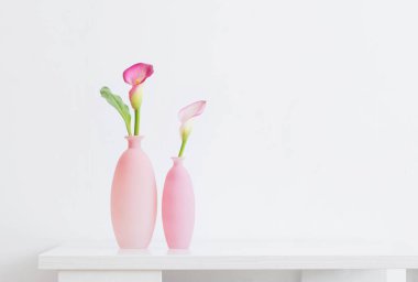 Beyaz arkaplanda vazolar içinde güzel pembe çiçekler
