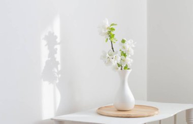 Vazodaki beyaz bahar çiçekleri eski raflarda