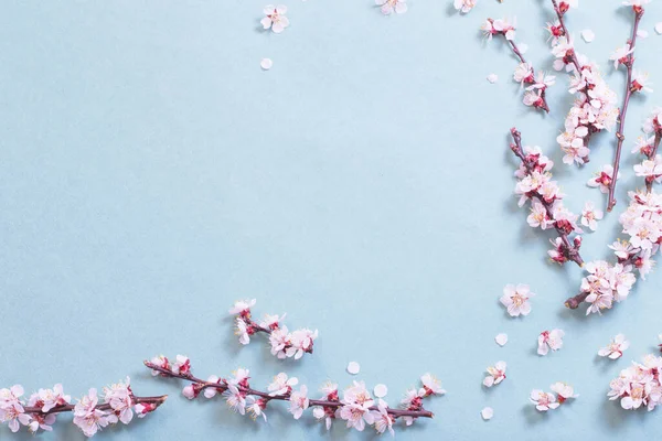 Kağıt arkaplanda pembe kiraz çiçekleri