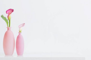 Beyaz arkaplanda vazolar içinde güzel pembe çiçekler