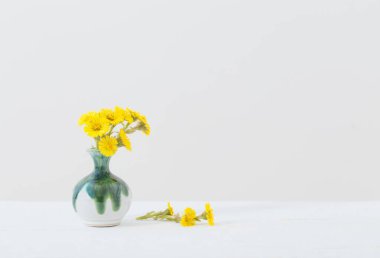 coltsfoot  flowers in ceramic vase  on white background clipart