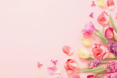 Pembe arka planda bahar çiçekleri