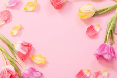 Pembe arka planda bahar çiçekleri