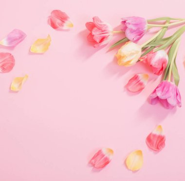 Pembe arka planda bahar çiçekleri