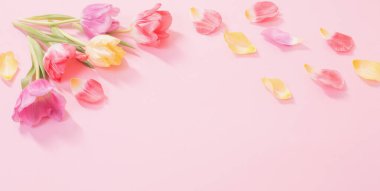 Pembe arka planda bahar çiçekleri