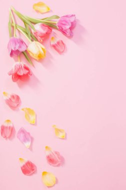 Pembe arka planda bahar çiçekleri