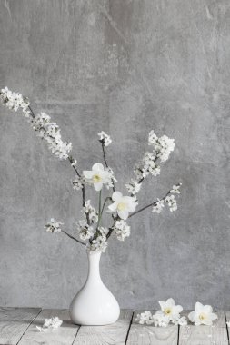 Beyaz vazoda kiraz çiçekleri arka planda eski gri duvarda