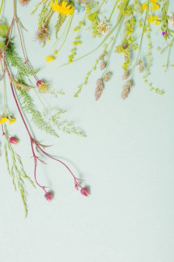 kağıt arkaplanda farklı yabani çiçekler