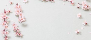 Kağıt arkaplanda pembe kiraz çiçekleri
