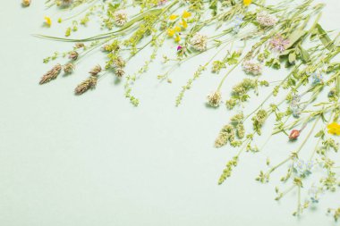 kağıt arkaplanda farklı yabani çiçekler