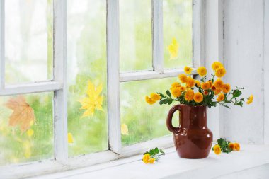 Sonbaharda cam kenarında vazoda kasımpatılar