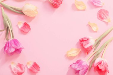 Pembe arka planda bahar çiçekleri