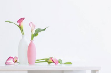 Beyaz arkaplanda vazolar içinde güzel pembe çiçekler