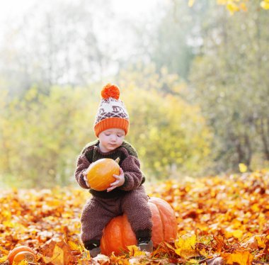 Sonbahar parkında turuncu balkabaklı komik küçük çocuk.