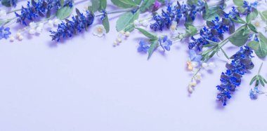 Mavi arka planda güzel yaz çiçekleri