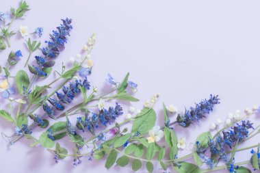 Mavi arka planda güzel yaz çiçekleri