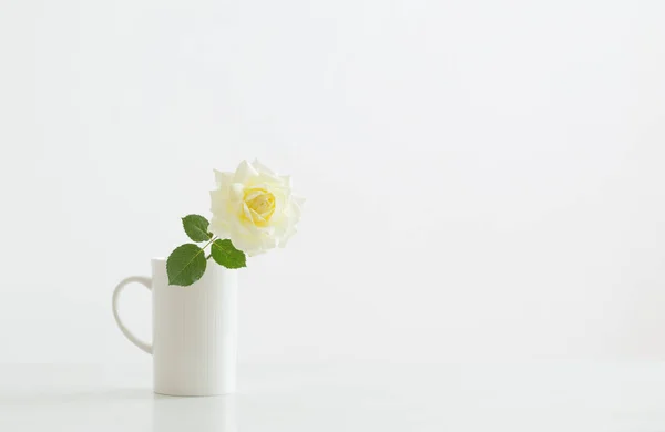 白い背景に白いカップに黄色のバラ — ストック写真