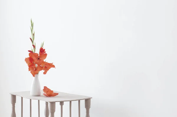 Rote Gladiolen Der Vase Auf Weißem Hintergrund — Stockfoto