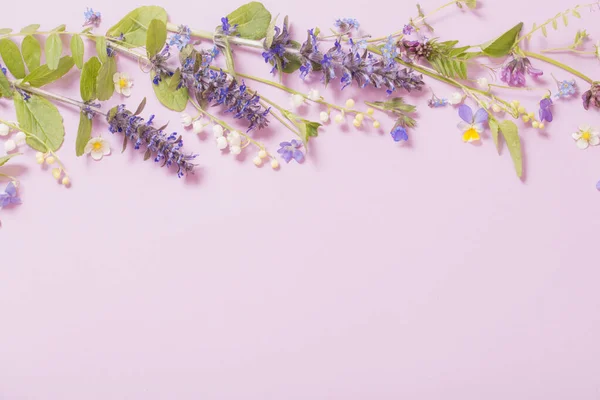 Schöne Sommerblumen Auf Rosa Hintergrund — Stockfoto