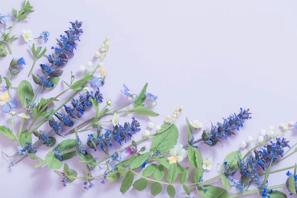 Krásné Letní Květiny Modrém Pozadí — Stock fotografie