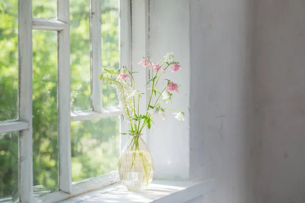 Letnie Kwiaty Wazonie Parapecie Słońcu — Zdjęcie stockowe