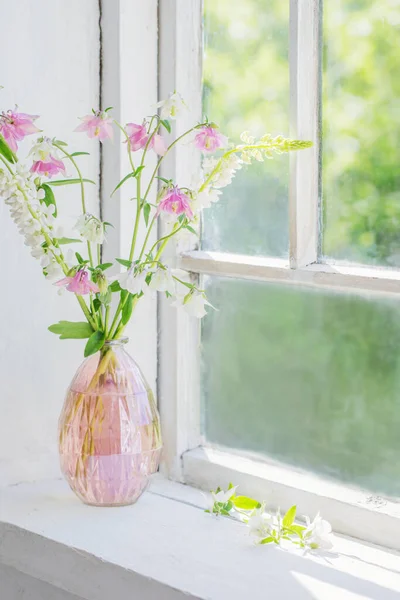 Fiori Estivi Vaso Sul Davanzale Della Finestra Alla Luce Del — Foto Stock