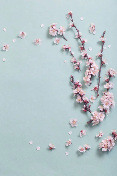 Rózsaszín Cseresznye Virágok Papíron Háttér — Stock Fotó