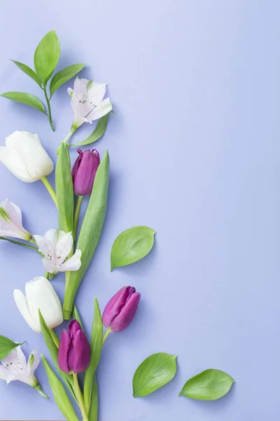 Hermosas Flores Primavera Sobre Fondo Papel — Foto de Stock