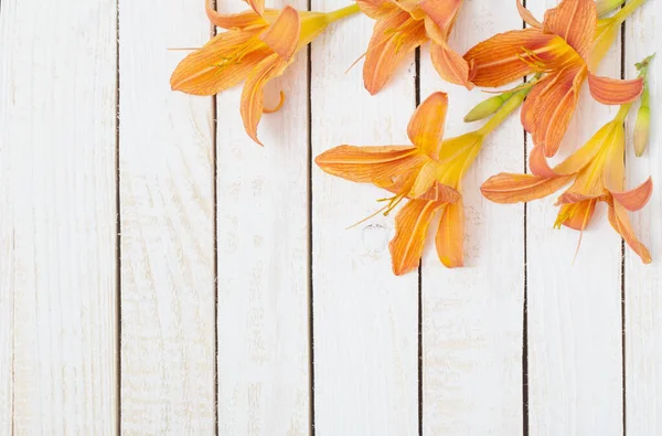 Orange Taglilie Auf Hölzernem Hintergrund — Stockfoto