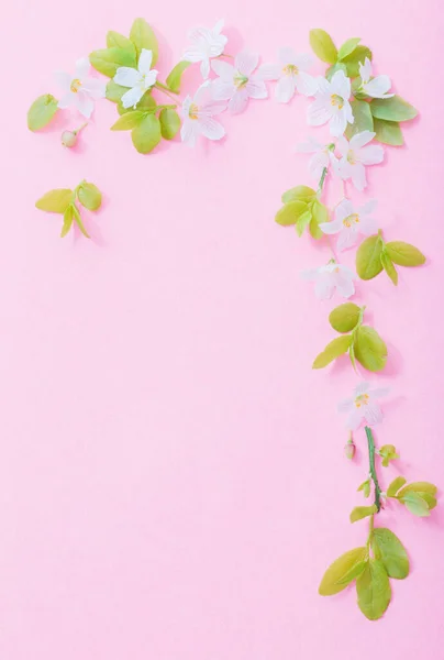 Fleurs Blanches Sur Fond Papier Rose — Photo