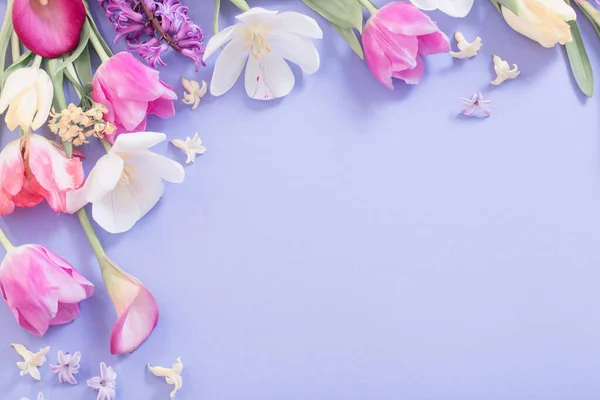 Різнокольорові Весняні Квіти Фіолетовому Фоні — стокове фото