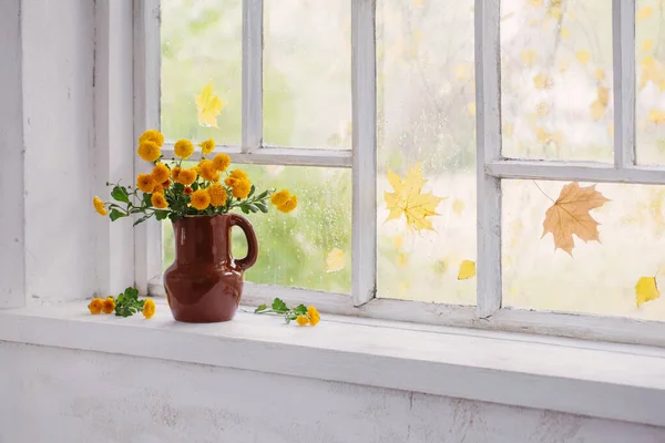 Chrysanthemums Vase Windowsill Autumn — Stock Photo, Image