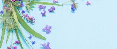 bahar çiçekleri mavi kağıt arkaplanda