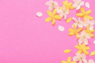 bahar beyaz ve sarı çiçekler pembe kağıt arkaplanda