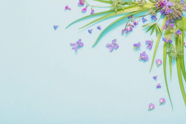 青い紙の背景に春の野生の花 — ストック写真