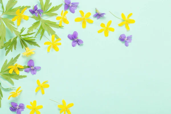 Flores Verano Sobre Fondo Papel Verde —  Fotos de Stock