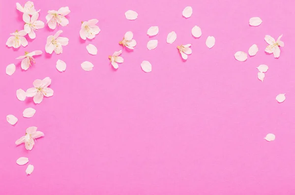 Flores Primavera Sobre Fondo Papel Rosa — Foto de Stock