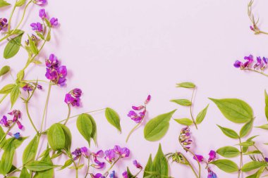 Pembe kağıt üzerinde pembe yabani çiçekler