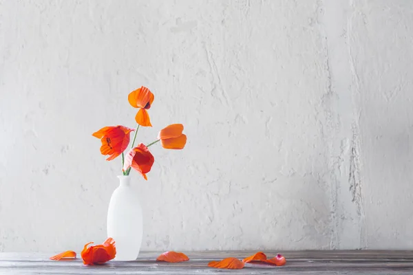 白色底色的白色花瓶里的红罂粟 — 图库照片