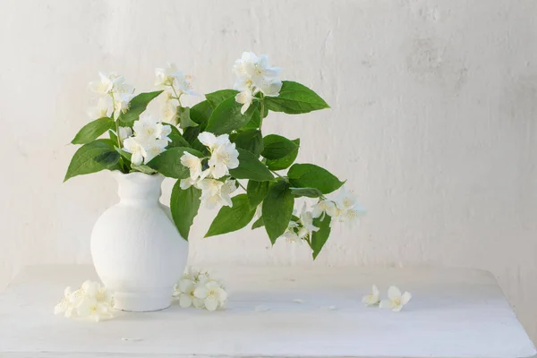 Jasmin Blommor Keramiska Vas Vit Bakgrund — Stockfoto