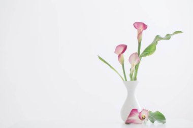 Beyaz arkaplanda vazoda pembe zambak