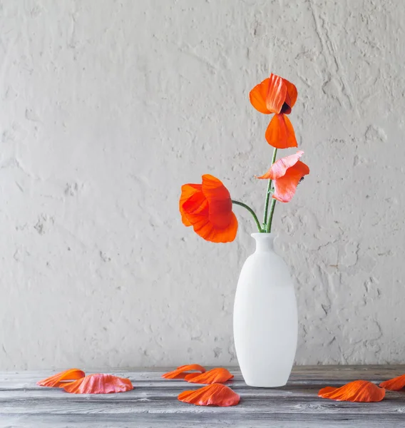 Coquelicots Rouges Dans Vase Blanc Sur Fond Blanc — Photo