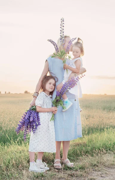 Mother Two Little Daughters Walk Field Sunset — Stock Photo, Image
