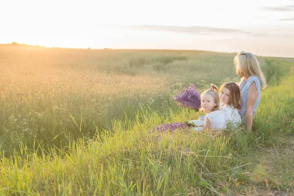 Mor Och Två Små Döttrar För Promenad Fält Vid Solnedgången — Stockfoto