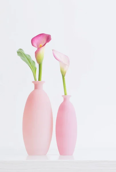 Beautiful Pink Flowers Vases White Background — Stock Photo, Image