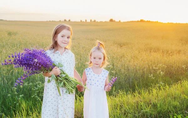Dos Hermanitas Con Flores Violetas Aire Libre — Foto de Stock